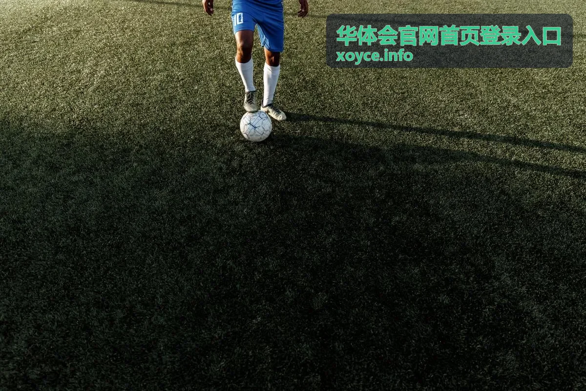 华体会官网登录安全验证提示